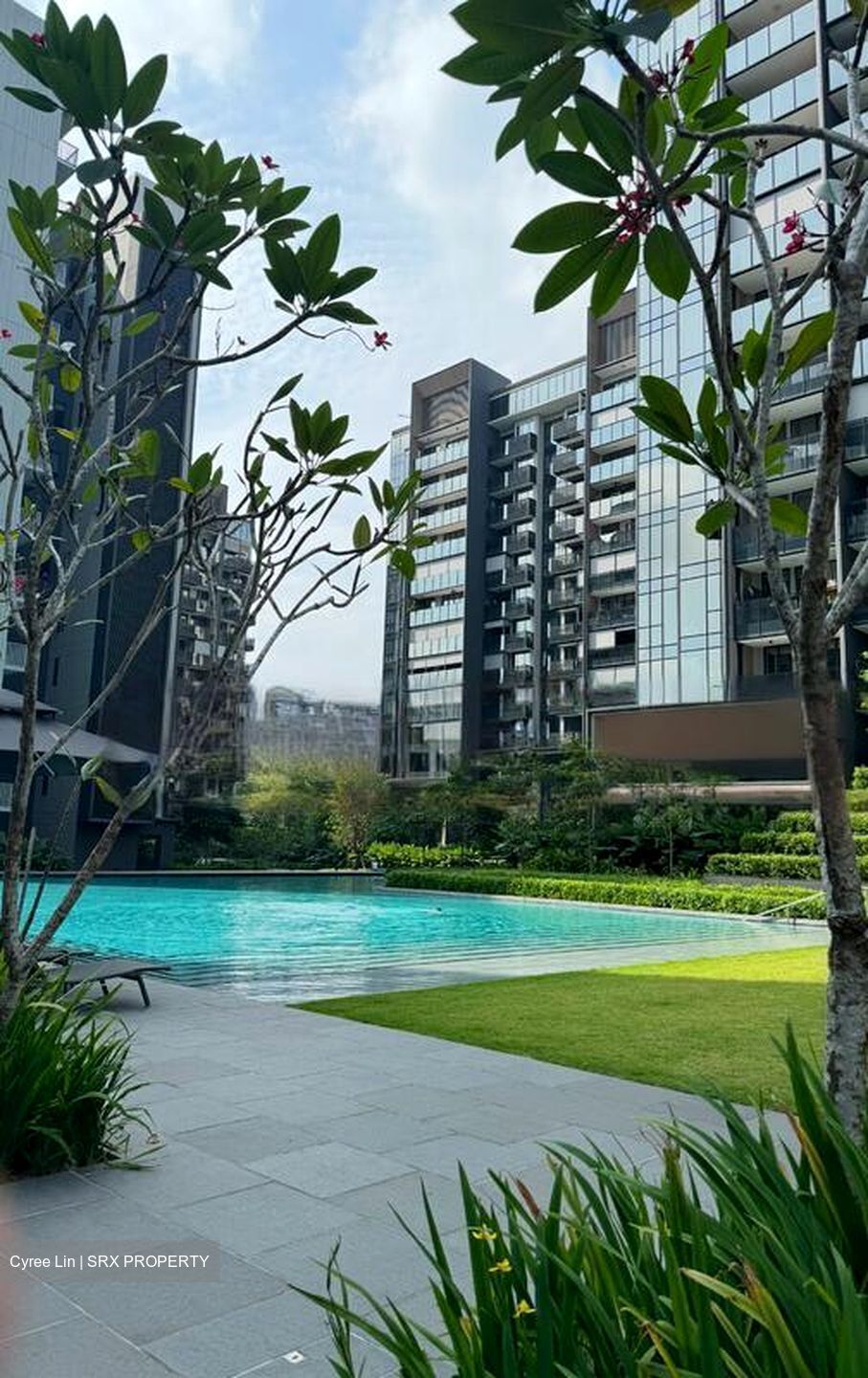 Leedon Green (D10), Condominium #463020001